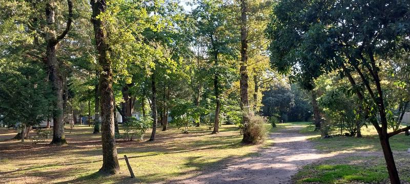 Terrain de loisirs - 140 m²