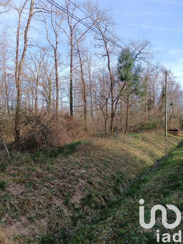 Terrain - 24 045 m²