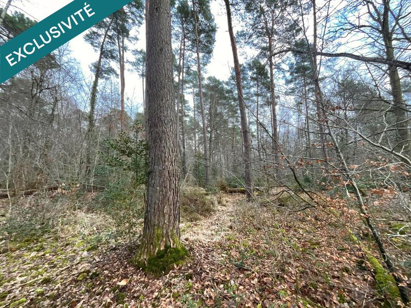 Terrain - 419 062 m²