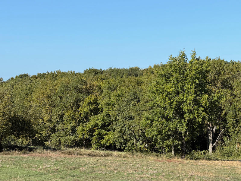 Terrain agricole - 490 712 m²