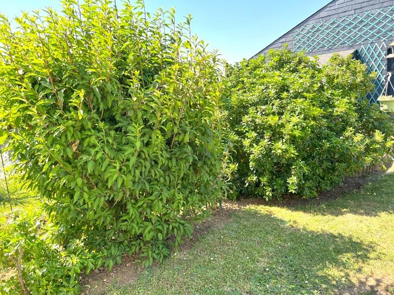 Maison - 136 m² - 6 pièces