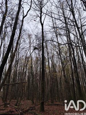 Terrain - 29 105 m²