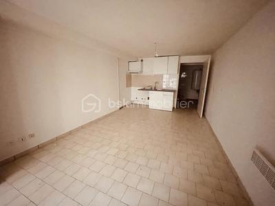 Studio - 28 m² - 1 pièce