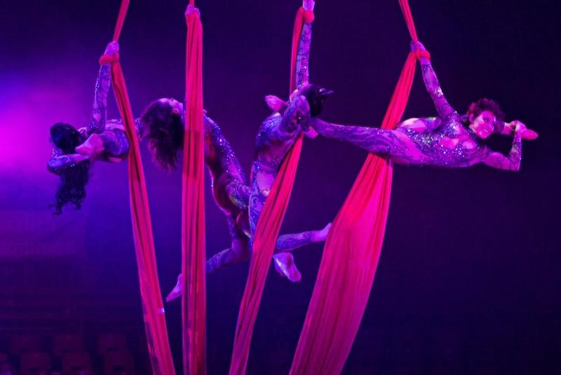 Spectacle de Noël 2025 - l'Asn fête ses 40 ans