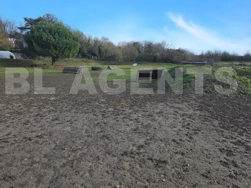 Maison de domaine équestre - 110 m² - 5 pièces