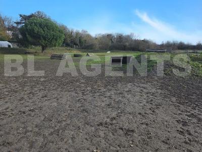 Maison de domaine équestre - 110 m² - 5 pièces