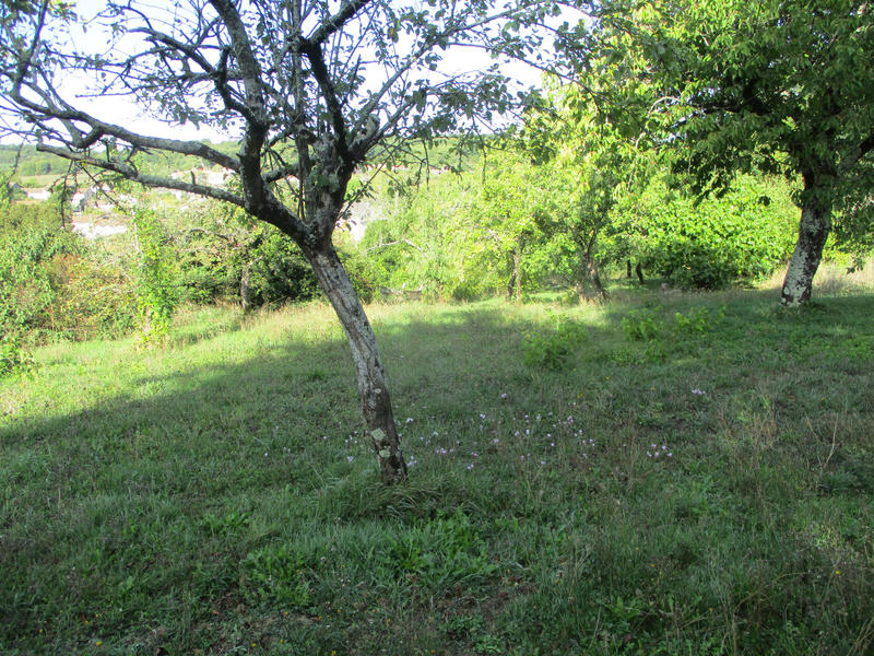 Maison - 69 m² - 4 pièces