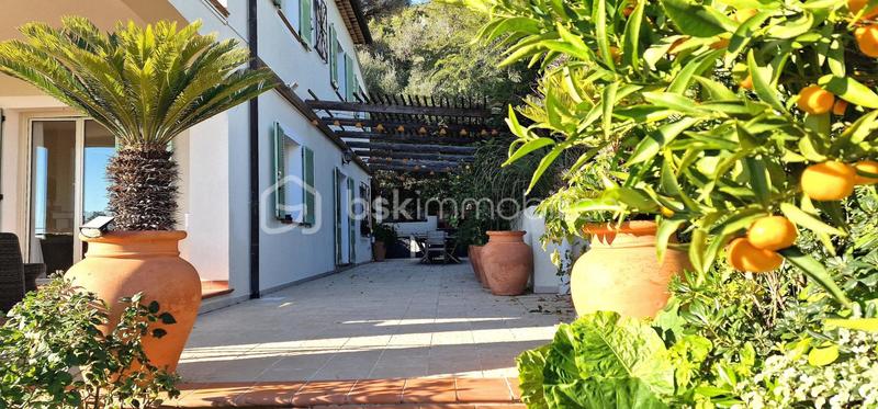 Maison traditionnelle - 241 m² - 6 pièces