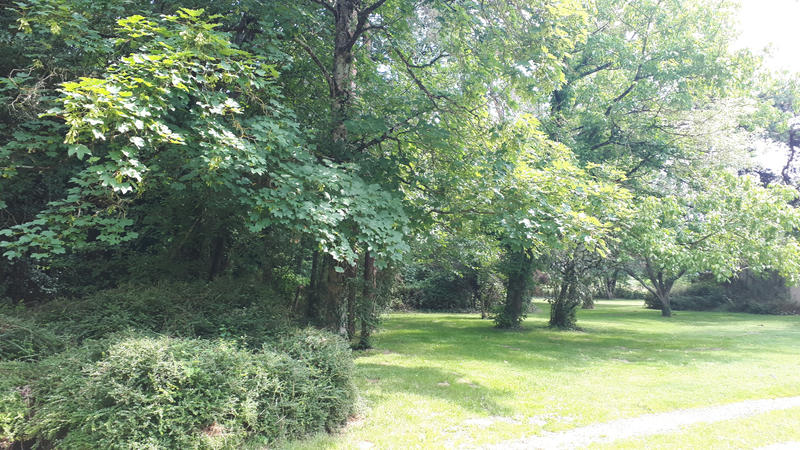 Propriété - 335 m² - 12 pièces