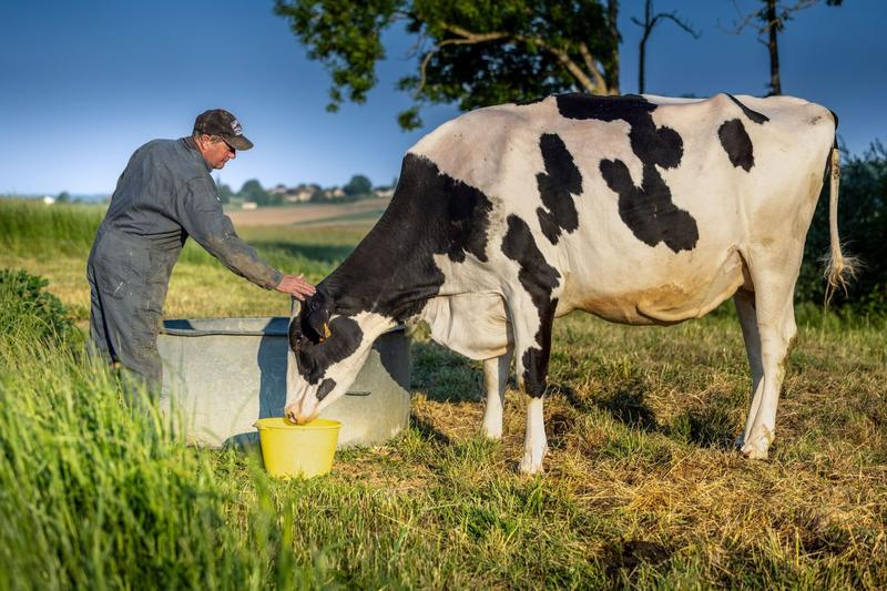 Exposition "Fiers de nos éleveurs"