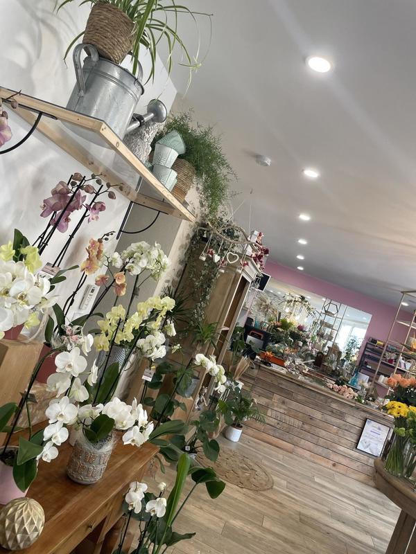 Local commercial - 85 m² - 2 pièces