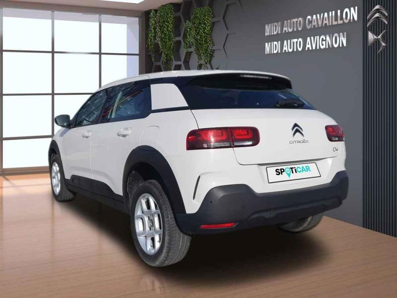 Citroën C4 Cactus 1.5 BlueHDi 120 Cv s&amp;S Shine Business Eat6 E6.d-Temp