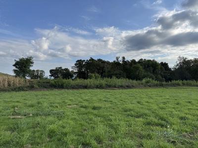 Terrain constructible - 1 454 m²