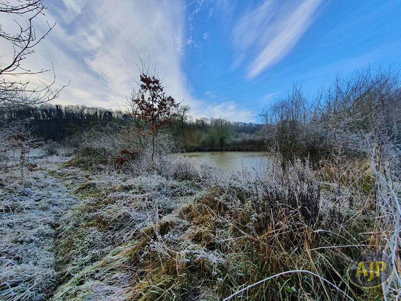 Terrain - 11 502 m²