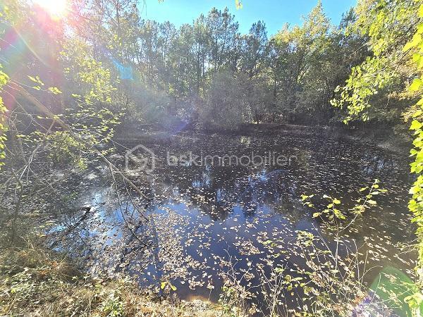 Maison - 187 m² - 7 pièces