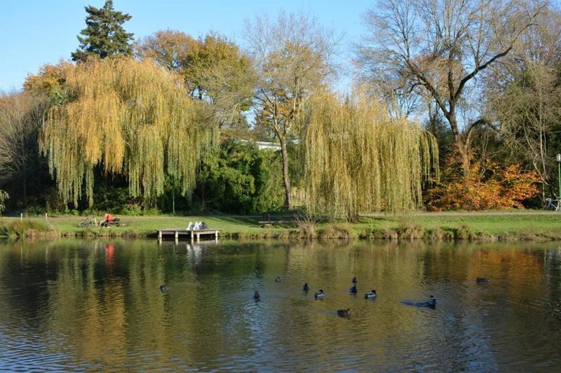 Maison - 109 m² - 5 pièces