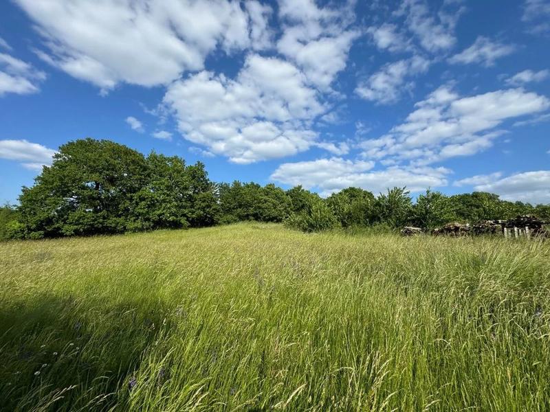 Corps de ferme - 65 m² - 3 pièces