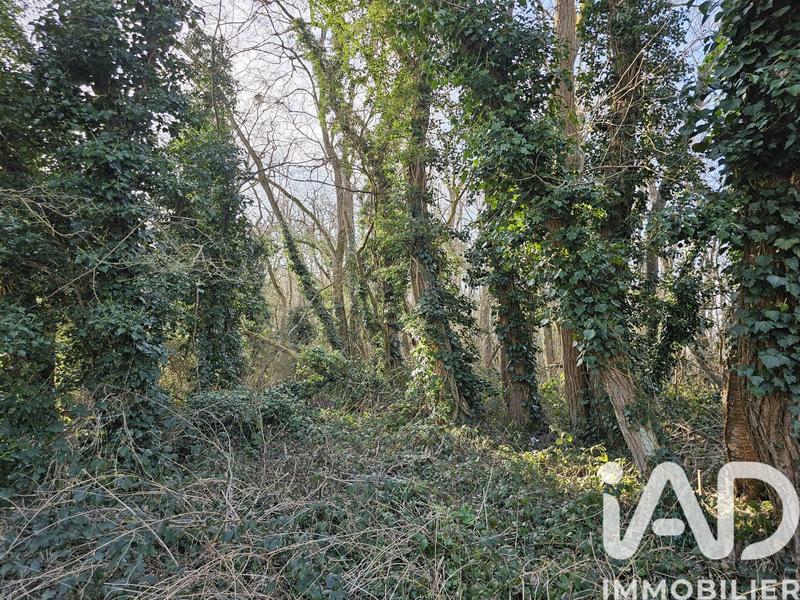 Terrain - 22 854 m²