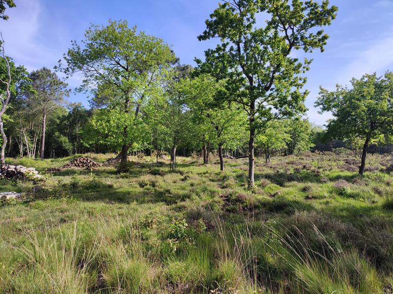 Mission nature - au Bois des Communes
