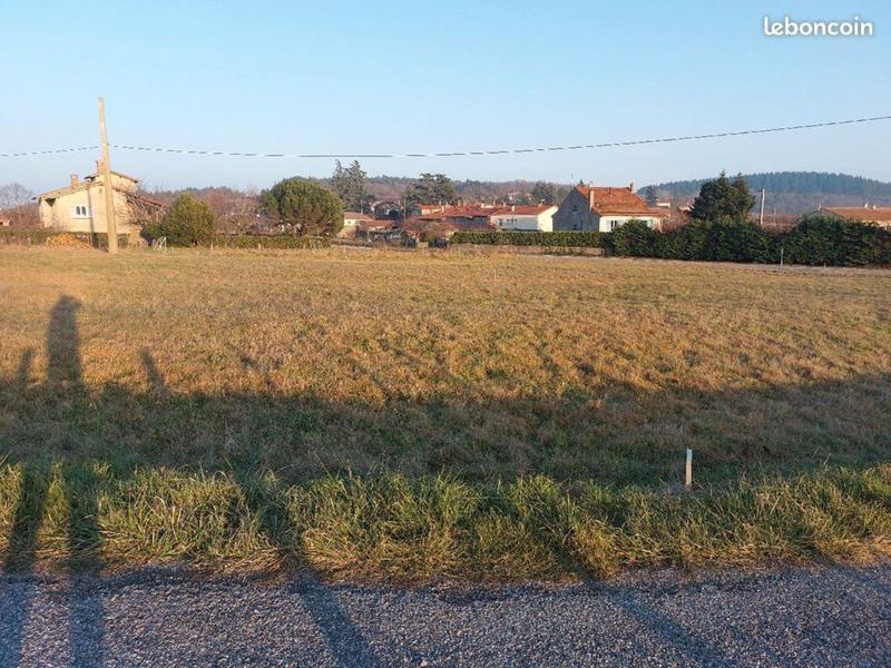 Terrain - 728 m²
