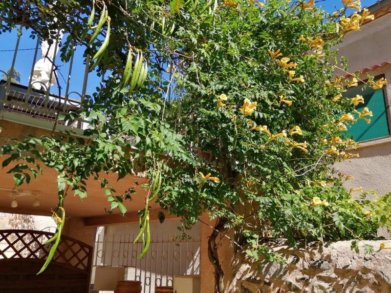 Maison de village - 110 m² - 6 pièces