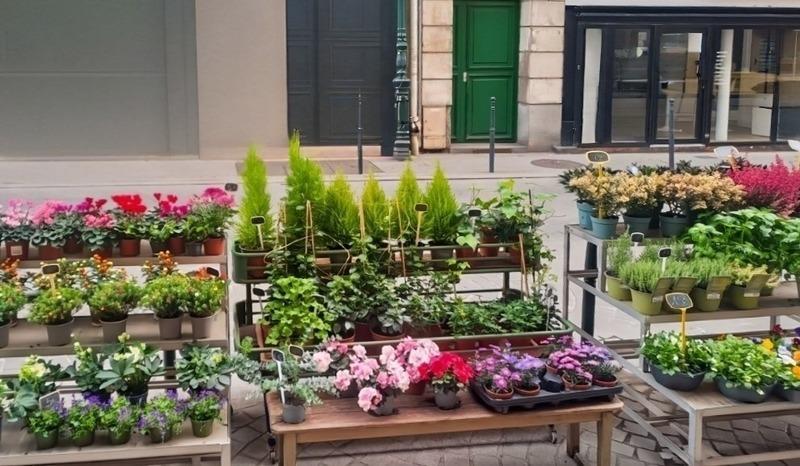 Fonds de commerce - Magasins - 50 m²