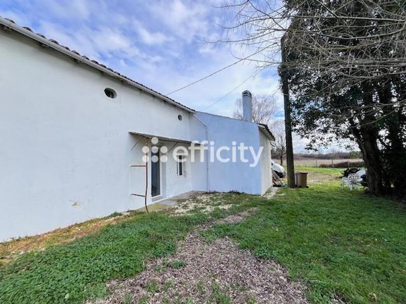 Maison - 354 m² - 9 pièces