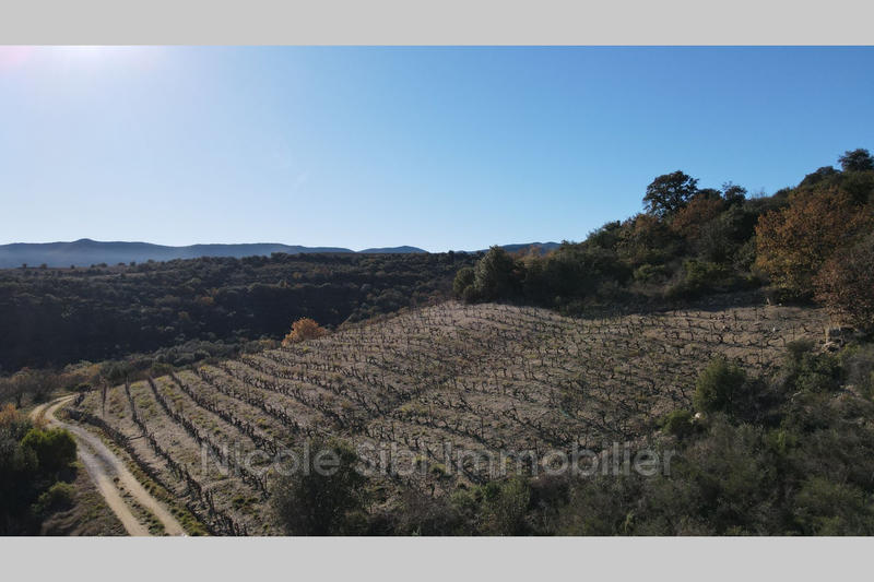 Terrain agricole - 6 890 m²