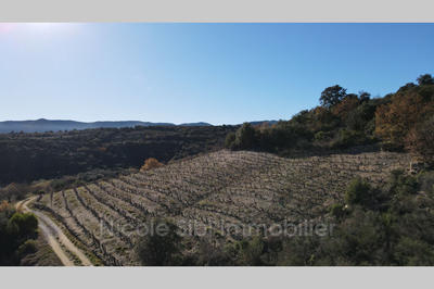 Terrain agricole - 6 890 m²