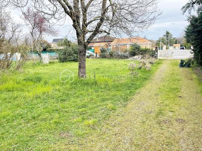 Terrain - 445 m²