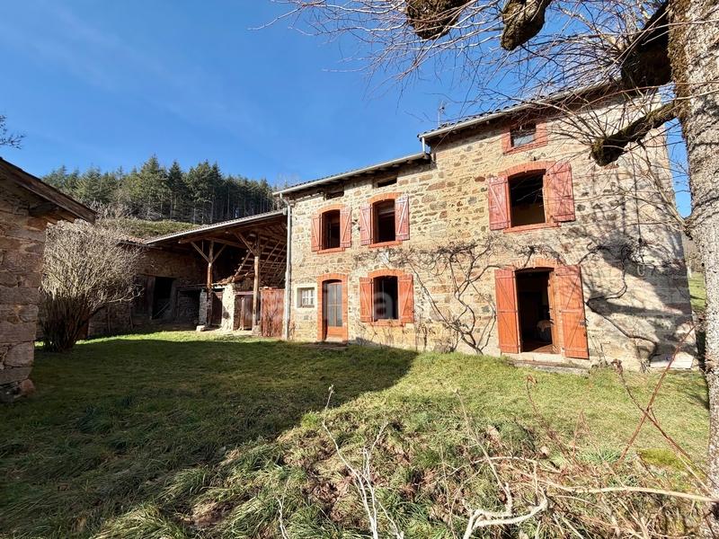 Maison en pierre - 140 m² - 5 pièces