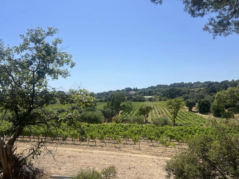 Maison - 230 m² - 7 pièces