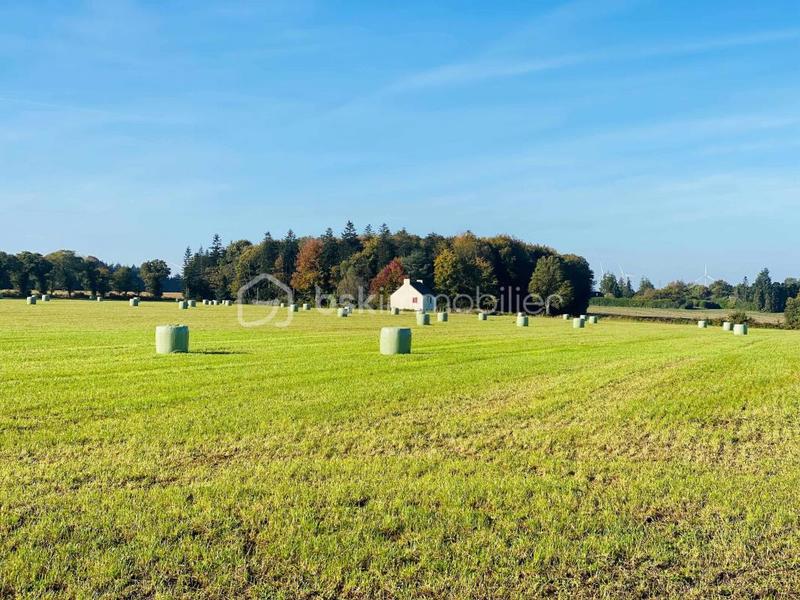 Maison de village - 80 m² - 5 pièces