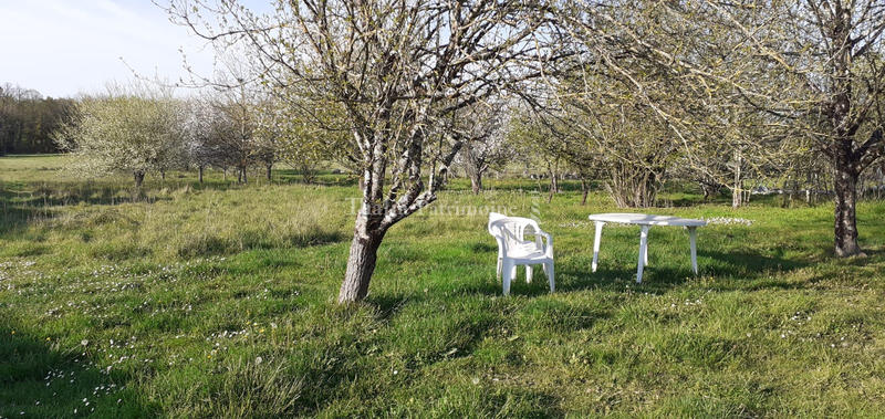 Maison de village - 215 m² - 9 pièces