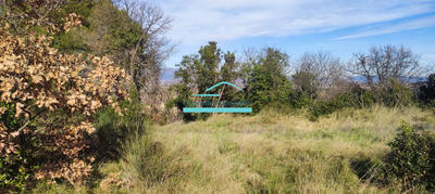 Terrain agricole - 21 172 m²