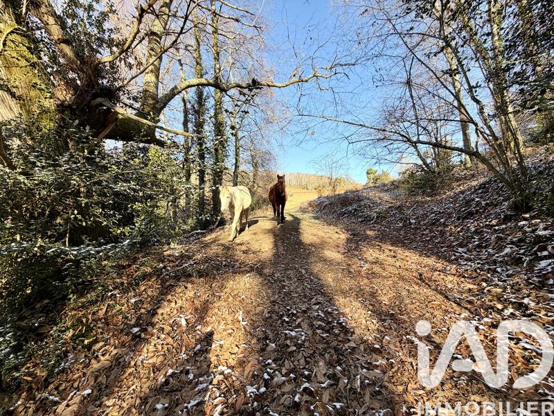 Maison de campagne - 114 m² - 5 pièces