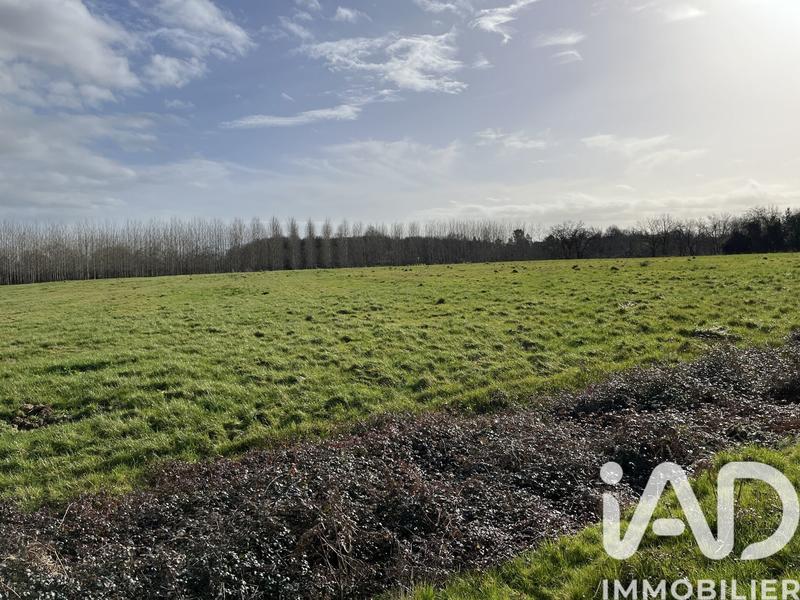 Terrain agricole - 132 080 m²