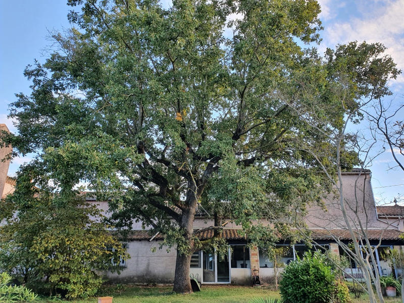 Propriété - 680 m² - 17 pièces