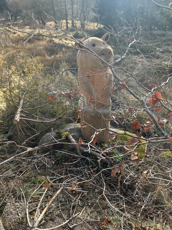 Partie de cache-cache avec Till et Froll