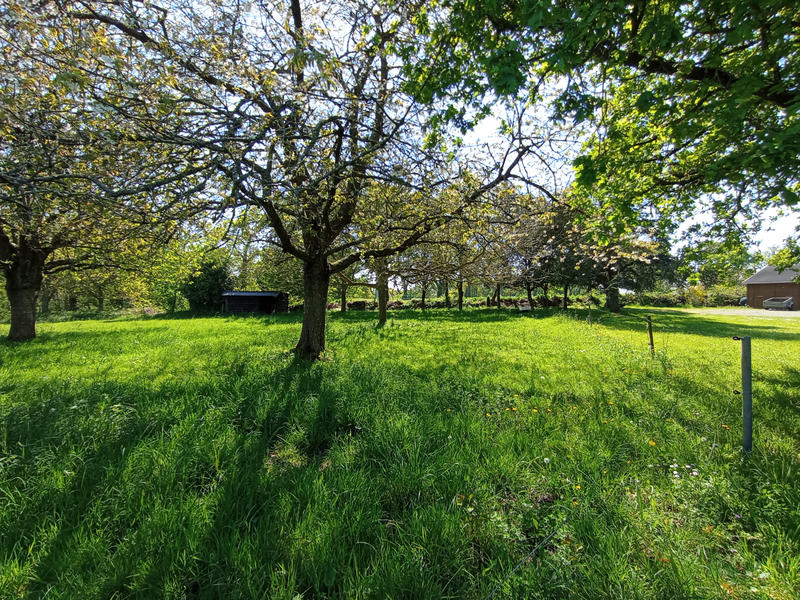 Maison - 118 m² - 5 pièces