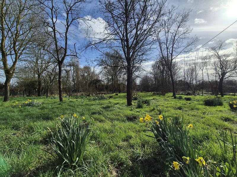 Maison ancienne - 106 m² - 4 pièces
