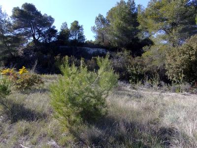 Terrain de loisirs - 2 180 m²