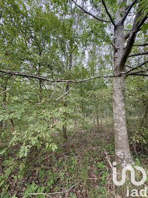 Terrain - 44 521 m²