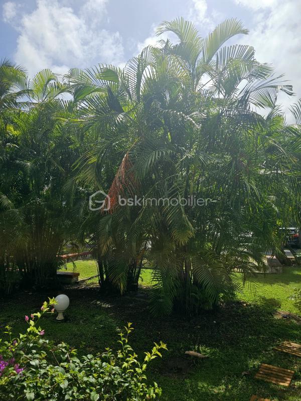 Appartement - 41 m² - 1 pièce