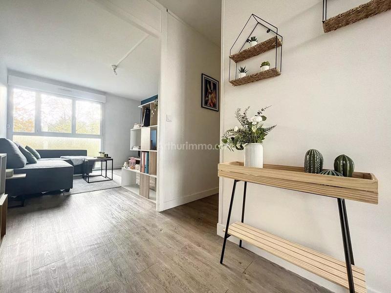 Appartement - 51 m² - 2 pièces