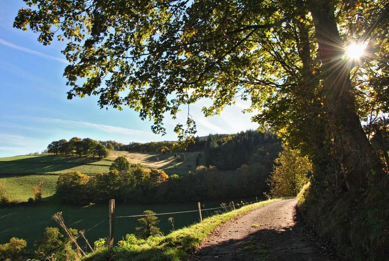 Balade commentée : "Sur les pas des Amish"