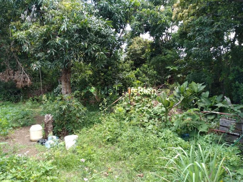 Terrain constructible - 5 300 m²