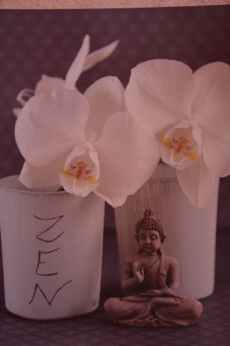 Evasion massages du monde