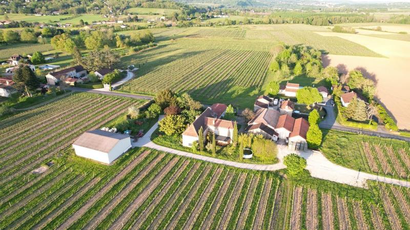 Propriété viticole - 310 m² - 15 pièces