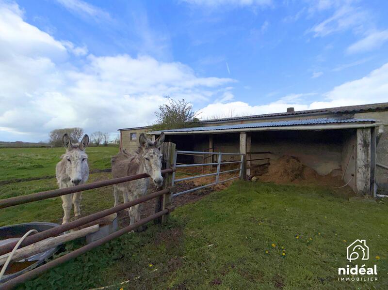 Maison - 100 m² - 6 pièces